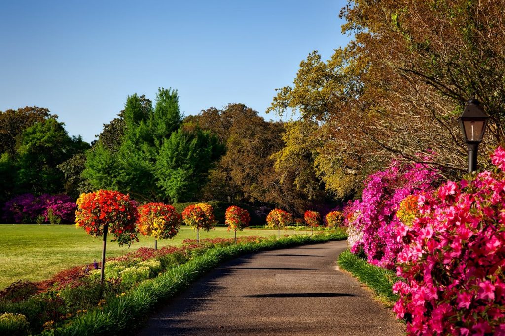 Jardin