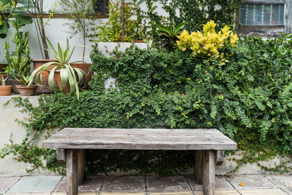 Un abris de jardin en béton