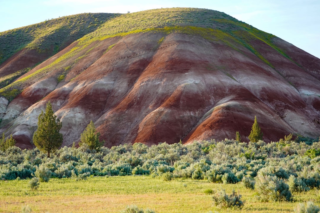découvrez l'harmonie des couleurs naturelles qui inspirent votre quotidien. explorez notre sélection de teintes authentiques et écoresponsables pour transformer votre espace avec élégance et sérénité.